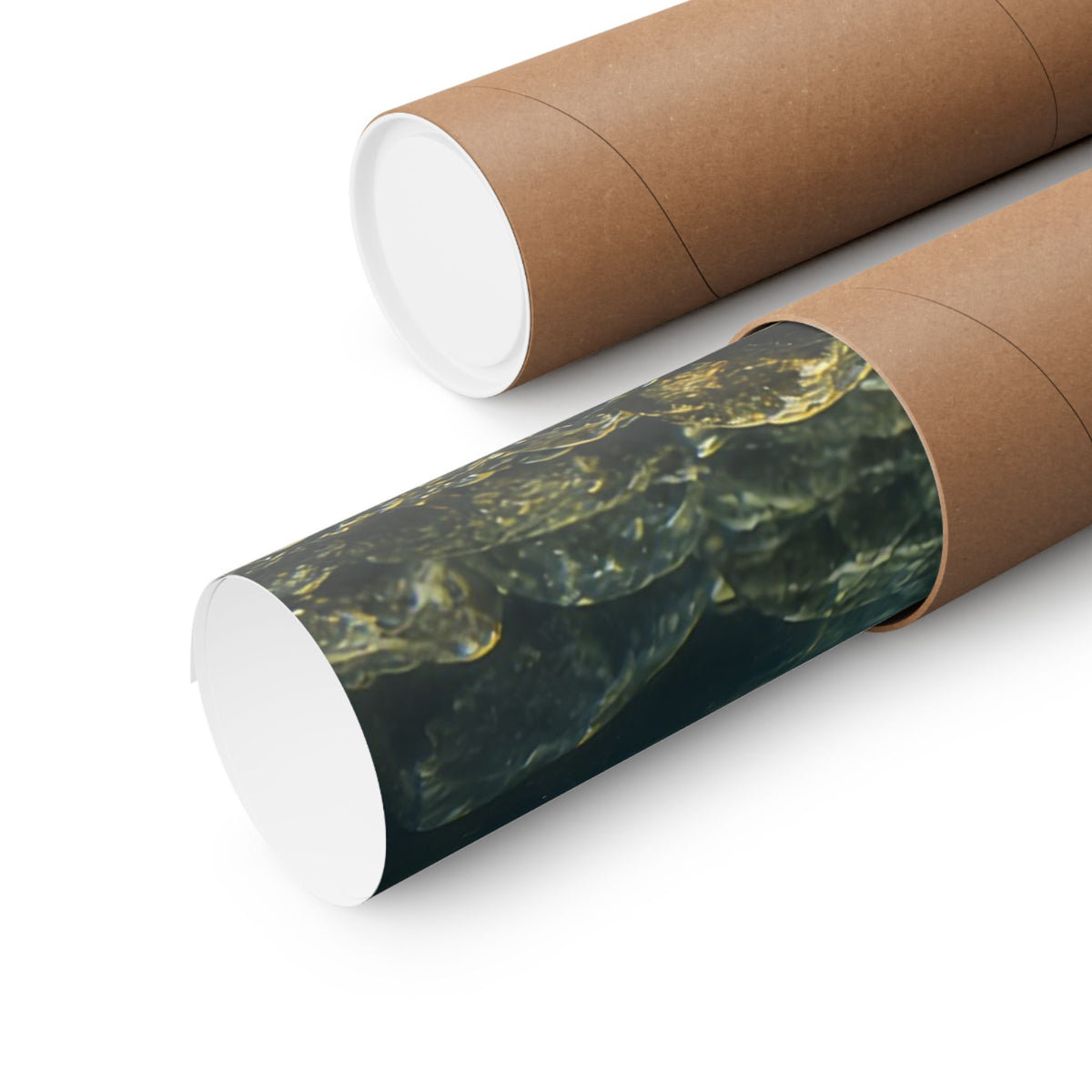 Tailwater Below the Dam Walleye poster shipped rolled in a protective tube