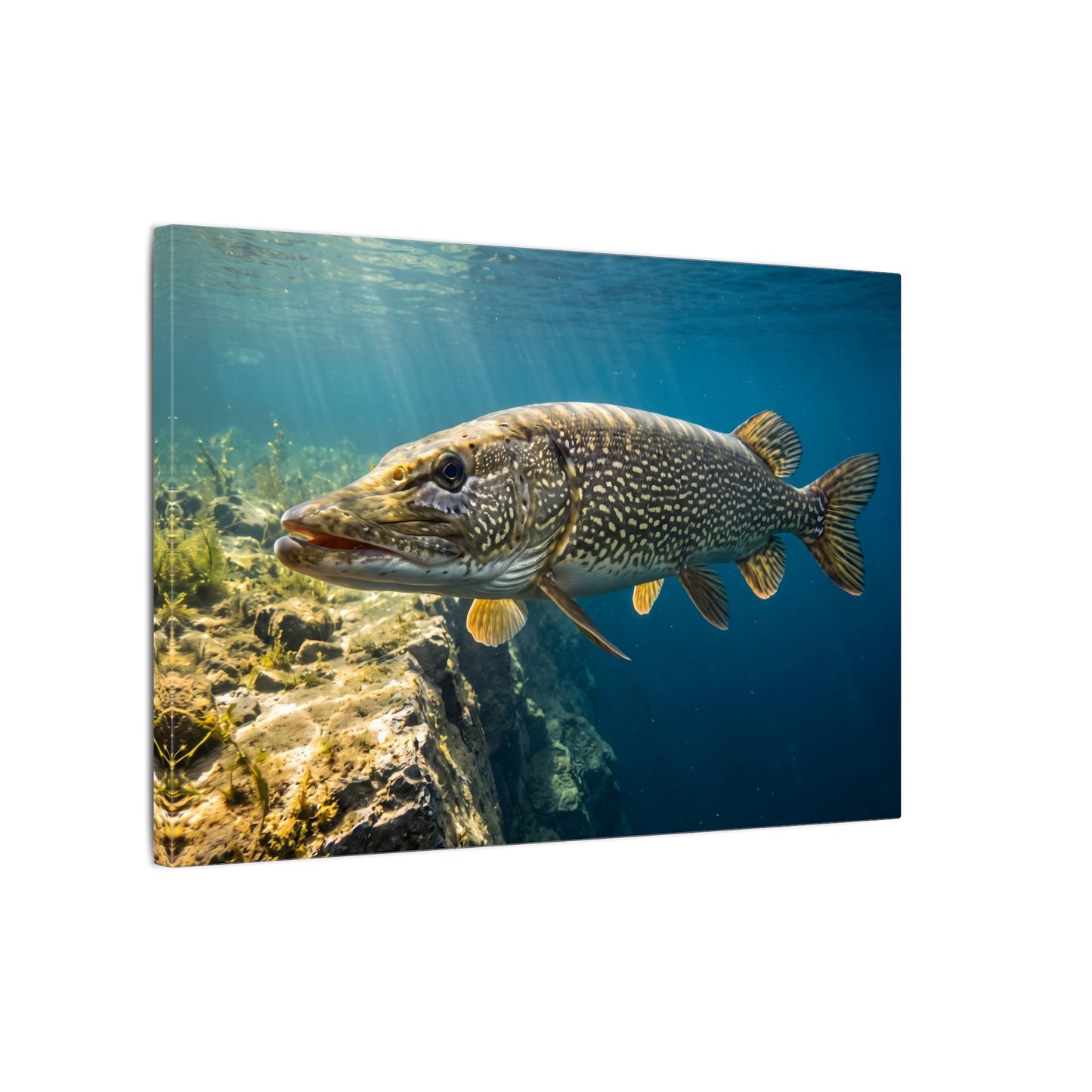 Northern Pike Deep Water Cruise Canvas — Trophy Wall Art for Anglers