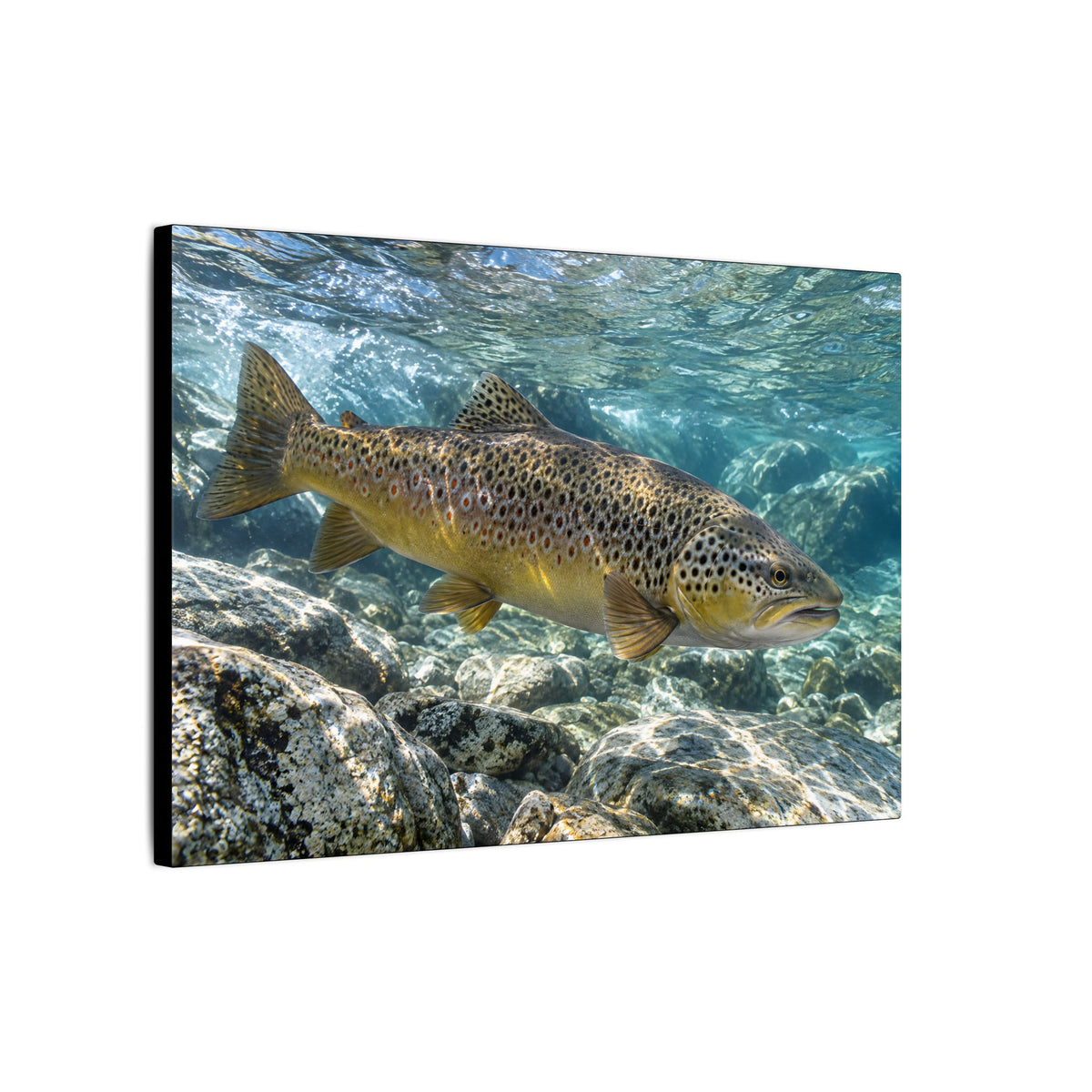 Emerald Undercut Brown Trout canvas wall art, view 4