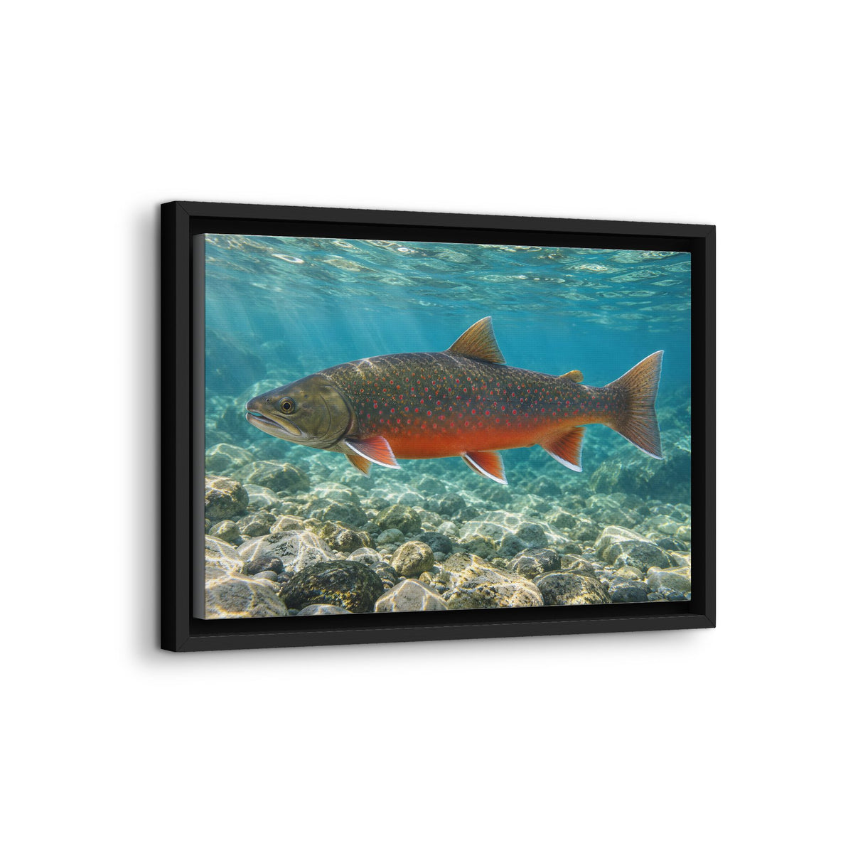 Arctic Ember Dolly Varden framed canvas wall art, view 4