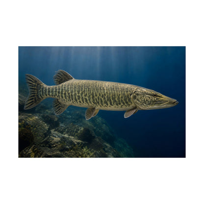 Blue Water Muskie Cruiser Poster — Trophy Underwater Wall Art for Anglers