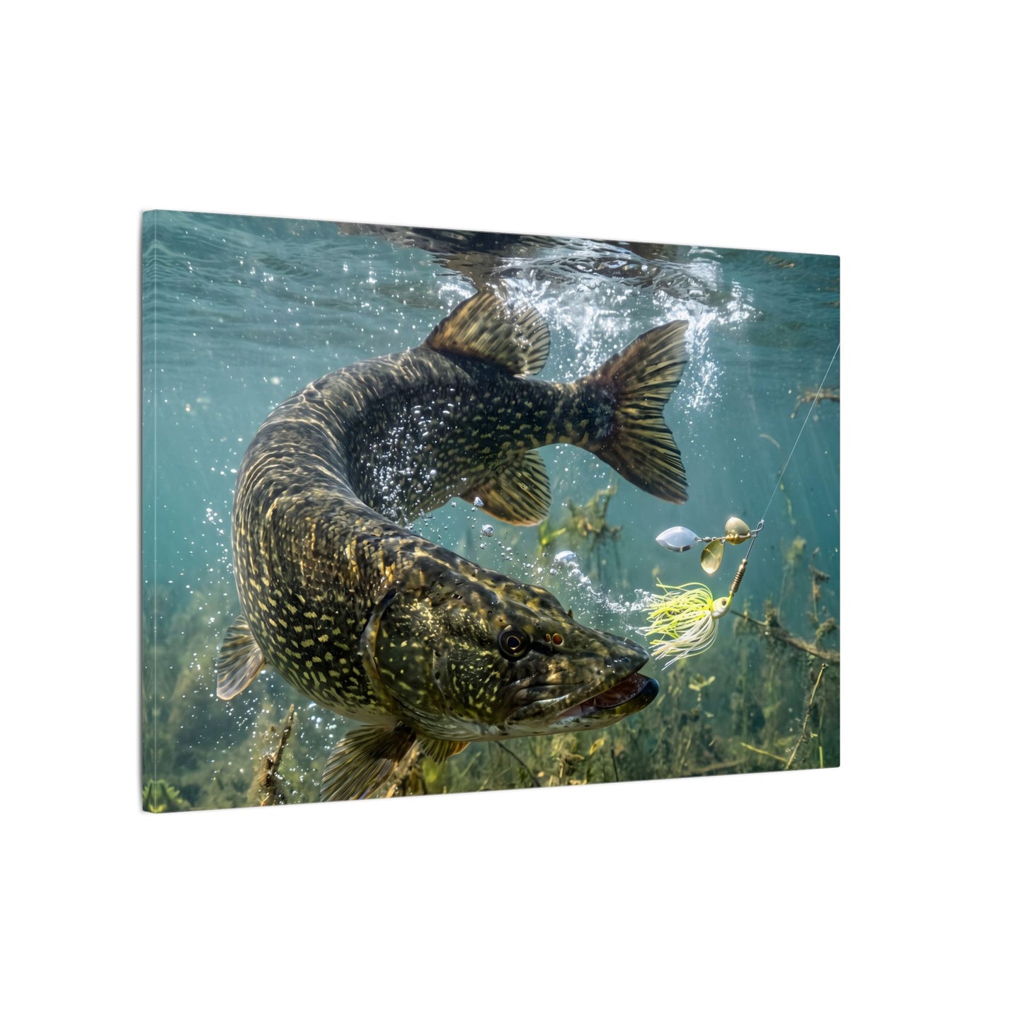 Northern Pike Turning Strike Canvas — Action Wall Art for Anglers