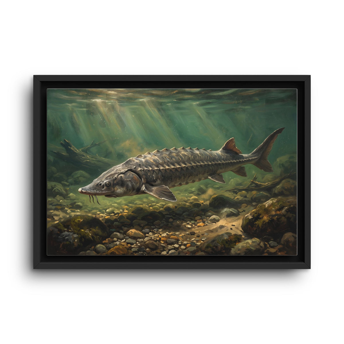 Lake Sturgeon Gravel Run framed canvas wall art