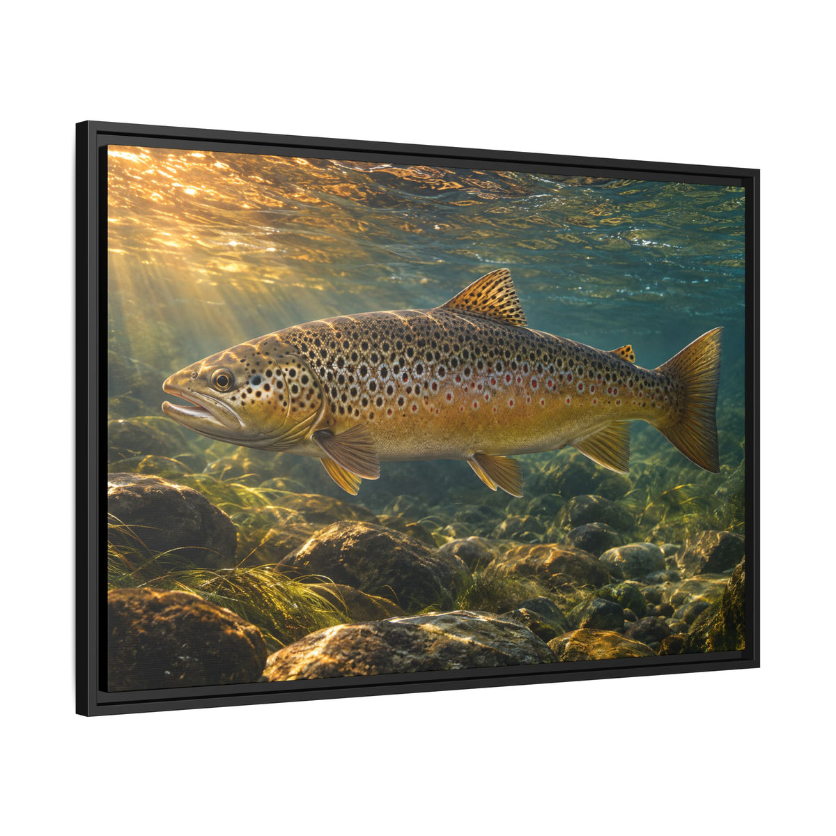 Autumn Run Brown Trout framed canvas wall art, view 4