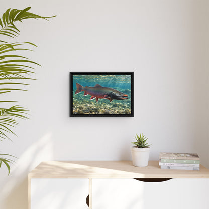 Trophy Alaskan Waters Dolly Varden framed canvas wall art, view 5