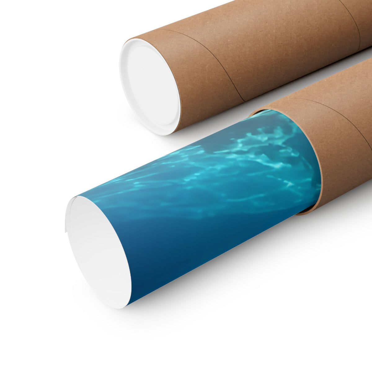 Turquoise Limestone Ledge Largemouth Bass poster shipped rolled in a protective tube