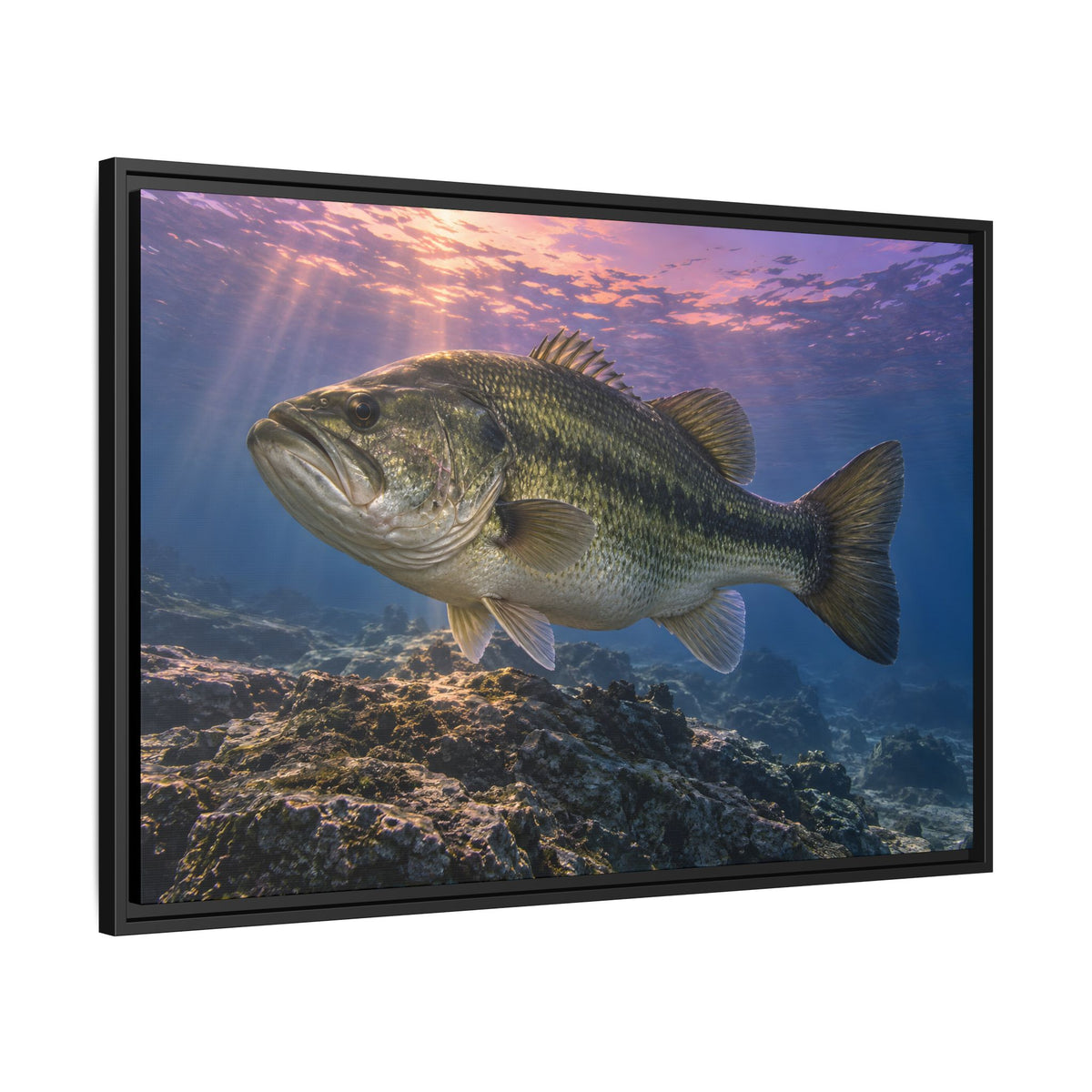Lavender Twilight Ridge Largemouth Bass framed canvas side angle