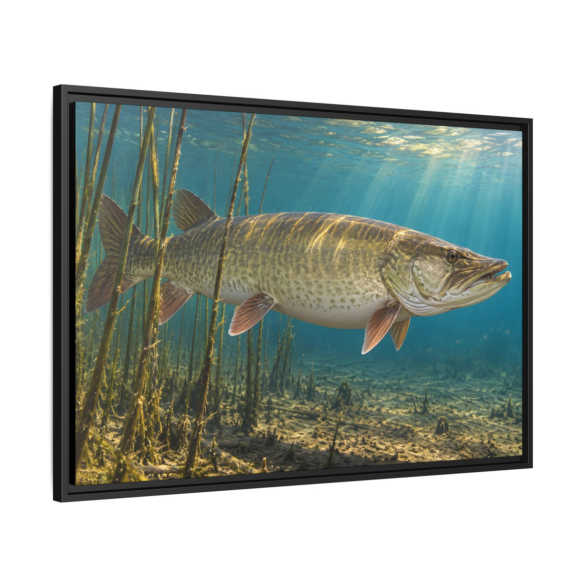 Reed Bed Cruiser Muskie framed canvas side angle
