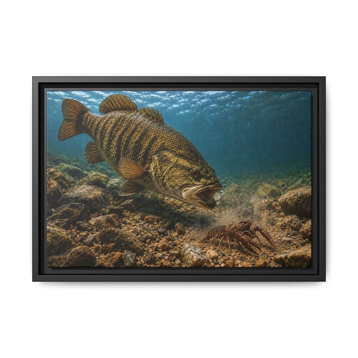 Crawfish Chase Smallmouth Bass framed canvas wall art, view 2