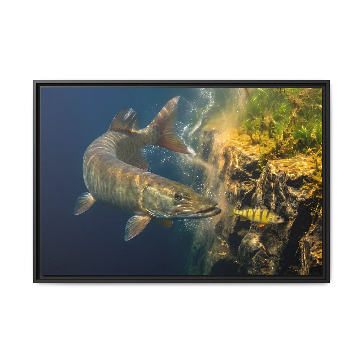 Muskie Drop-Off Chase framed canvas, 18x12 size view