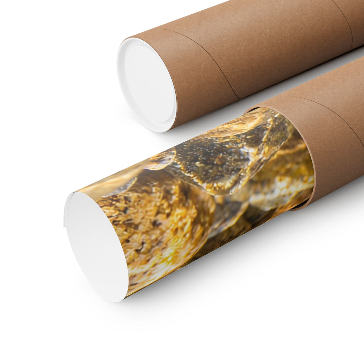 Amber Pebbles Gila Trout poster wall art, view 5