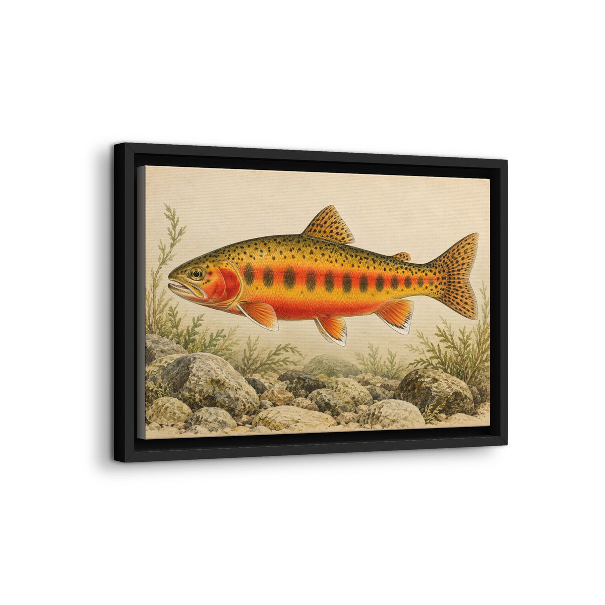 Vintage Stream Study Golden Trout framed canvas wall art, view 4