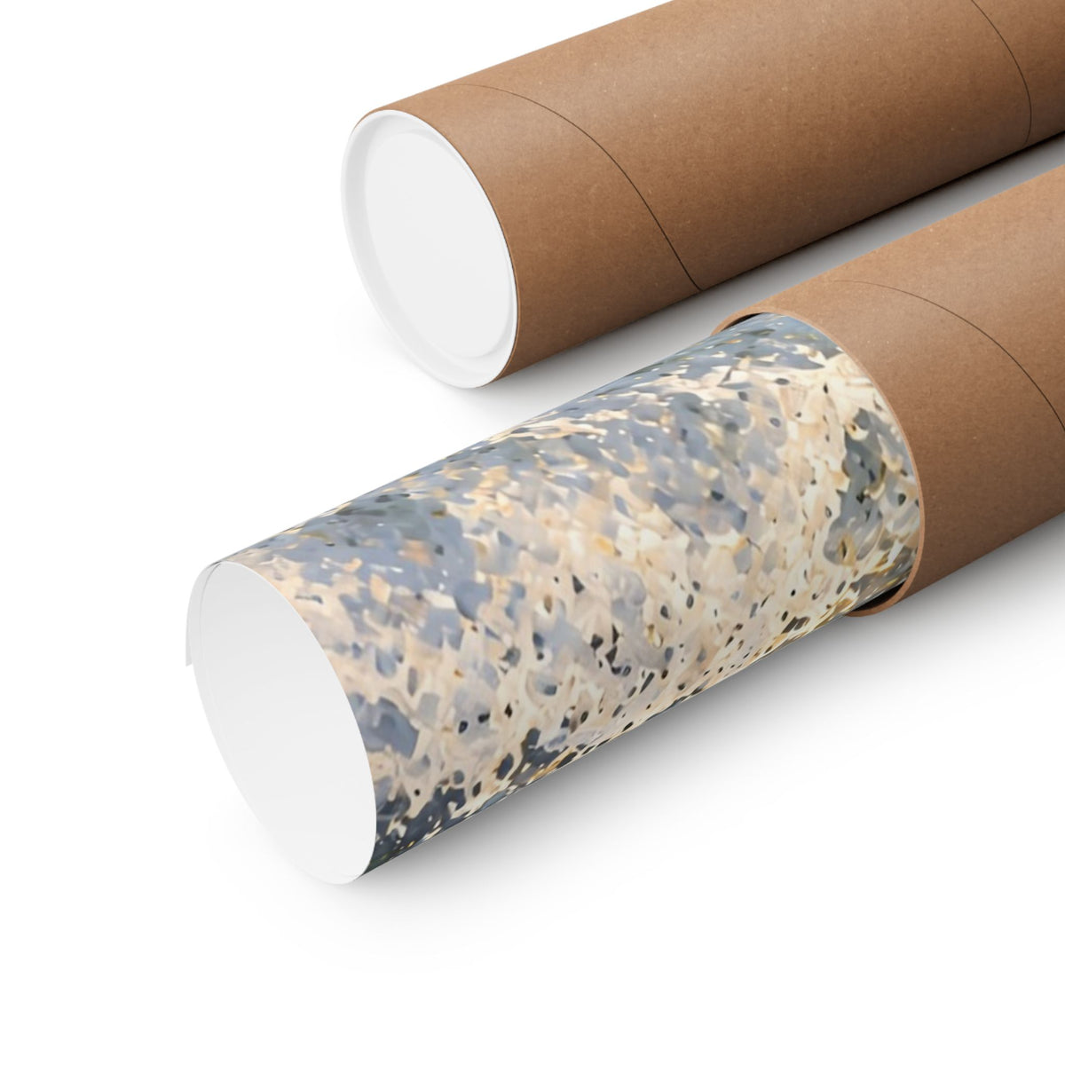 Sunrise Leap Coho Salmon poster shipped rolled in a protective tube