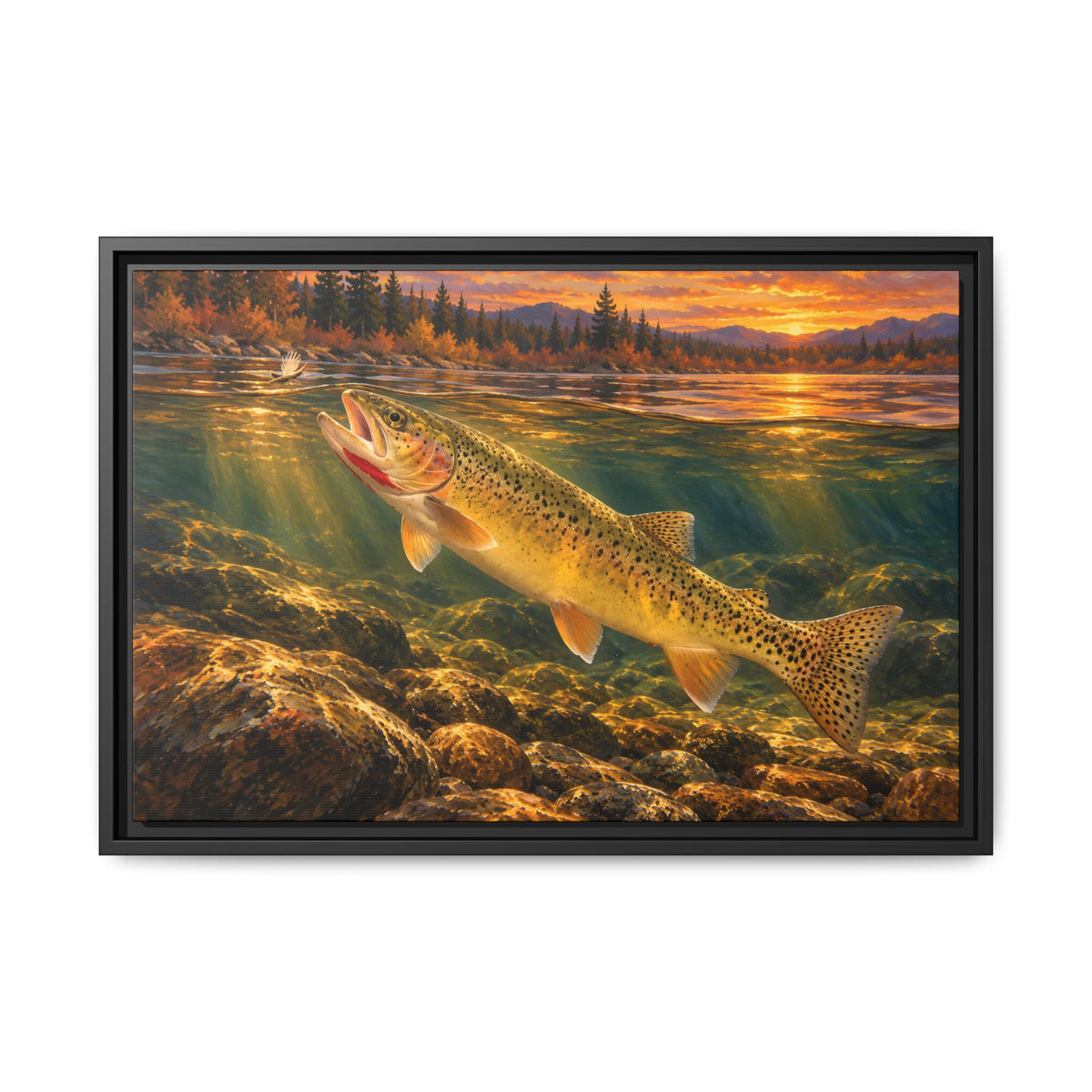Red Throat at Dusk Cutthroat Trout framed canvas, 24x16 size view