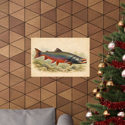 Field Study Dolly Varden poster wall art, view 6