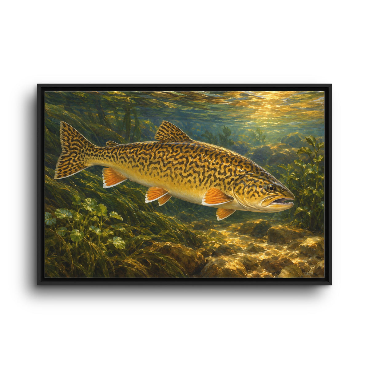 Golden Hour Watercress Tiger Trout framed canvas wall art, view 3