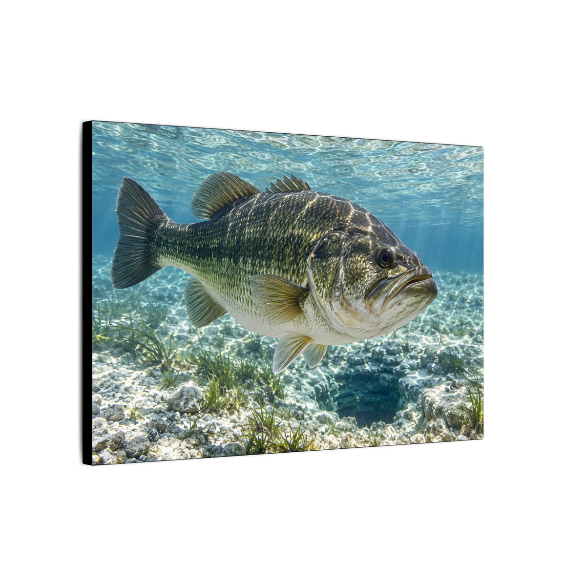 Crystal Spring Passage Largemouth Bass canvas side angle