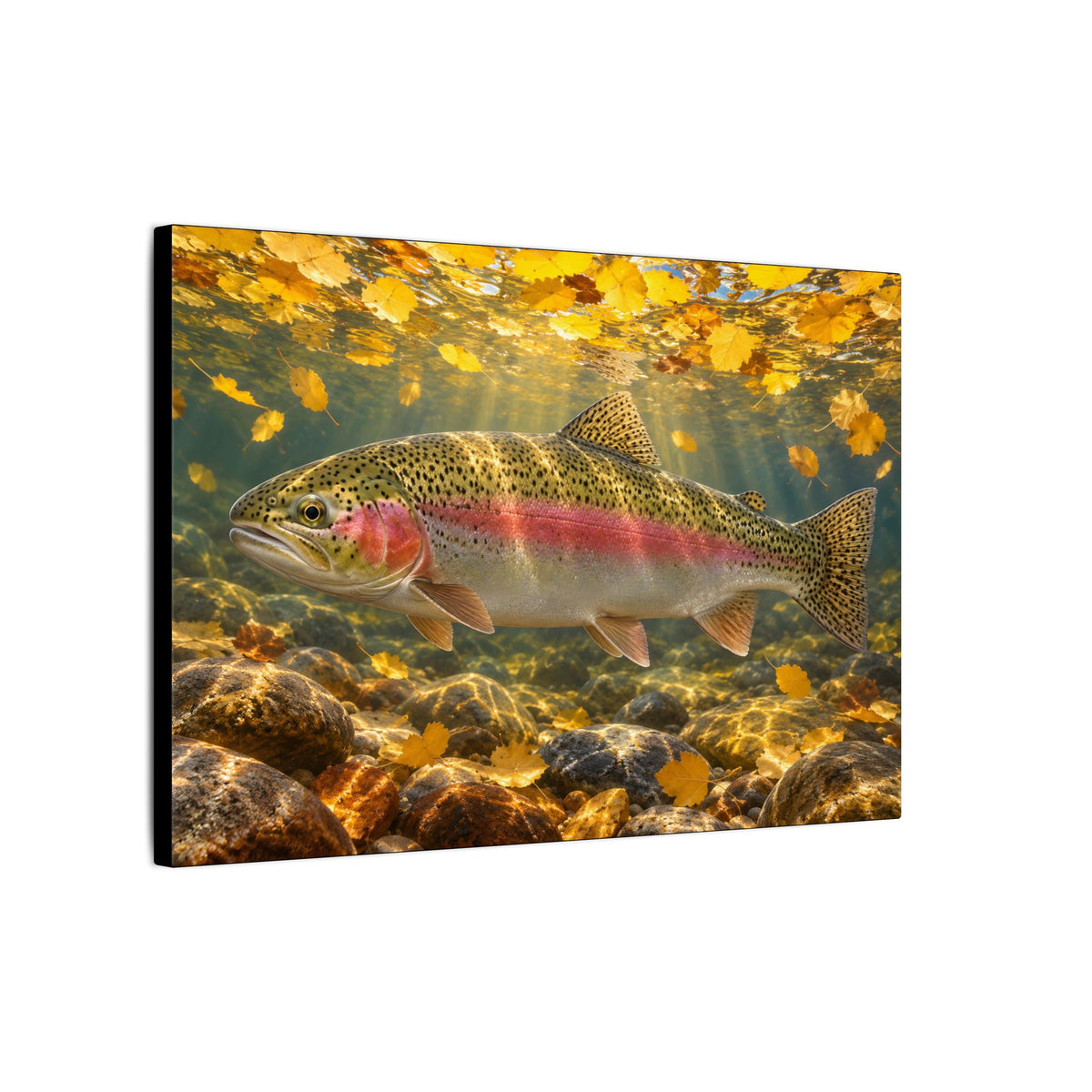 Aspen Gold Rainbow Trout canvas wall art – photo 4