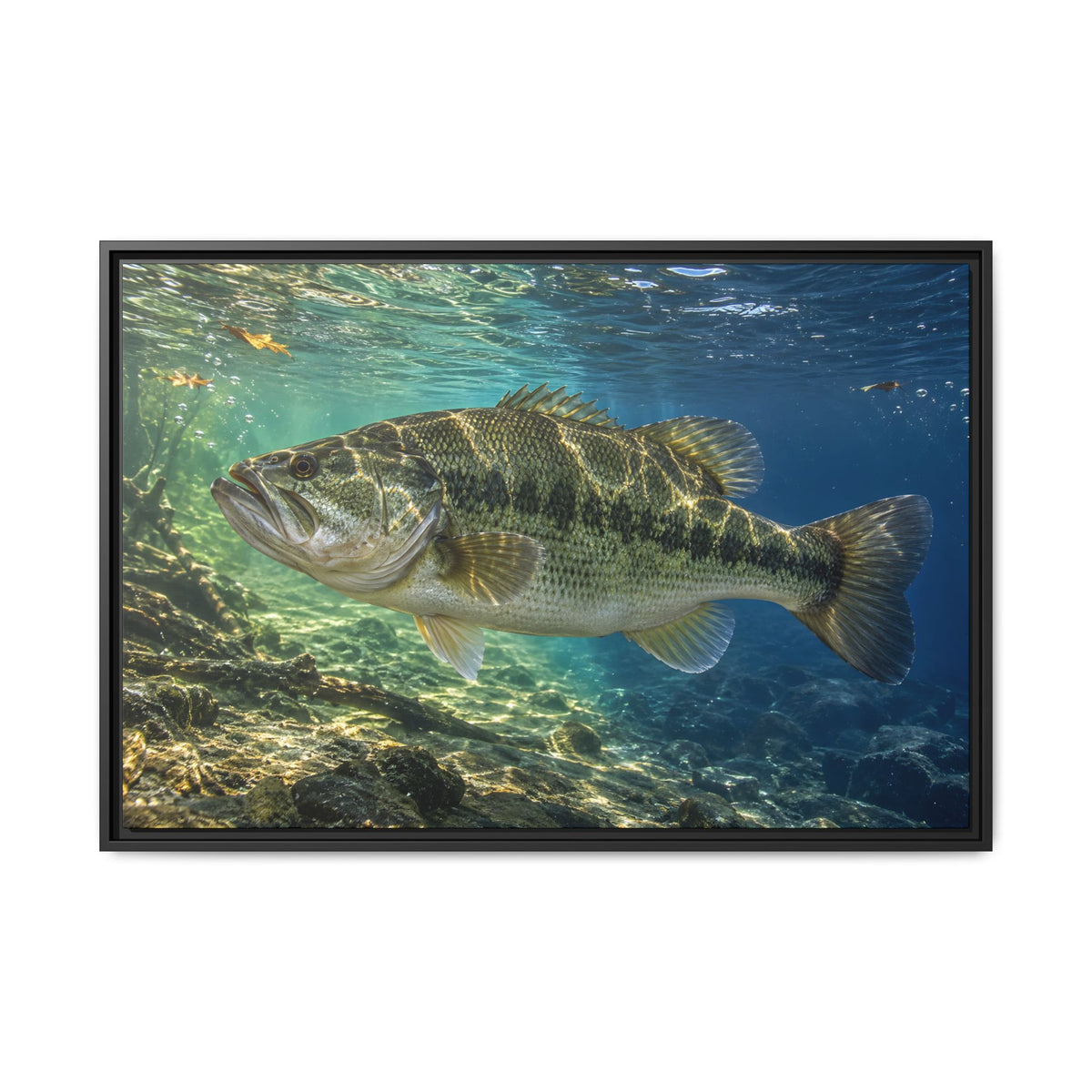 Blue-Green Current Seam Largemouth Bass framed canvas, 18x12 size view