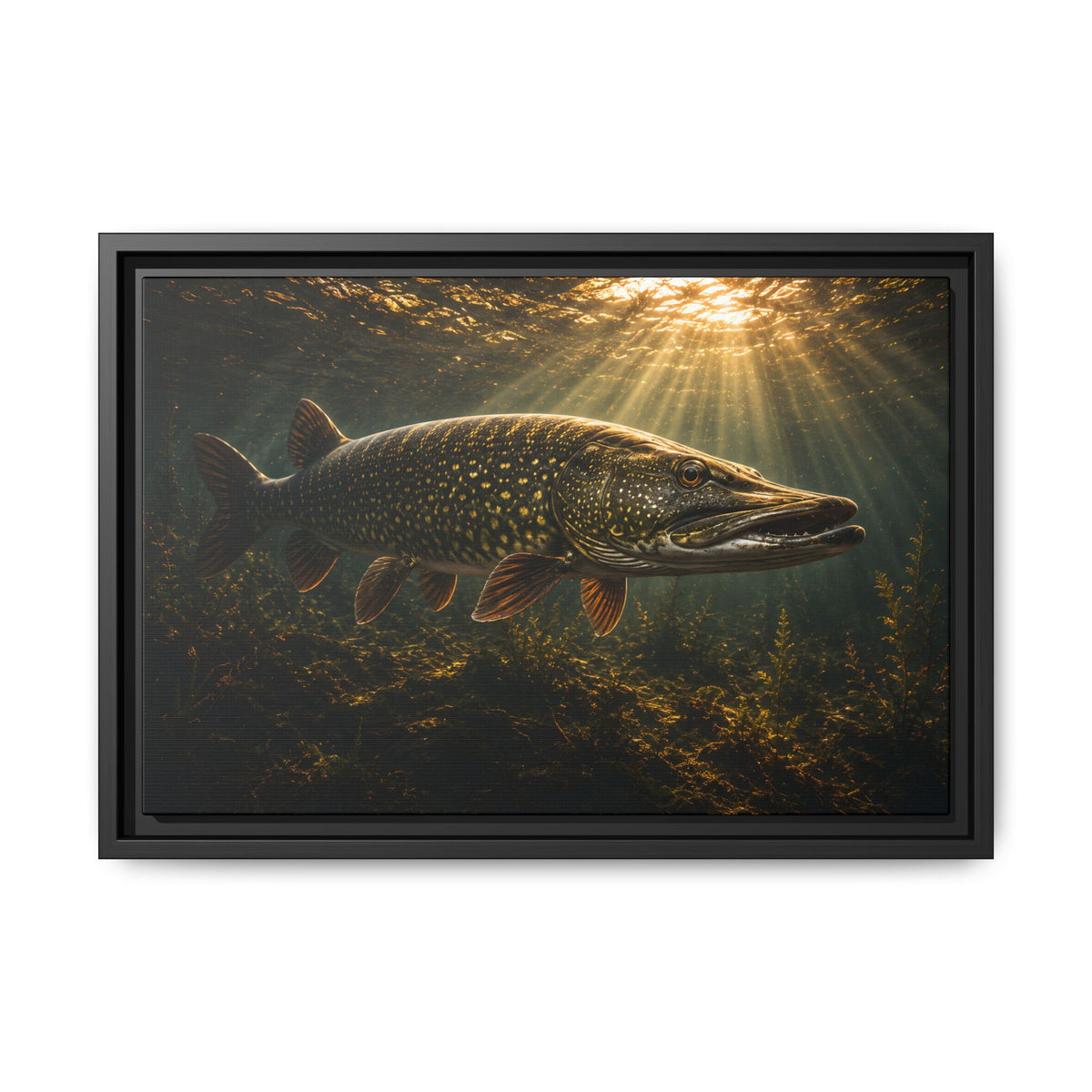 The Encounter Northern Pike framed canvas, 24x16 size view