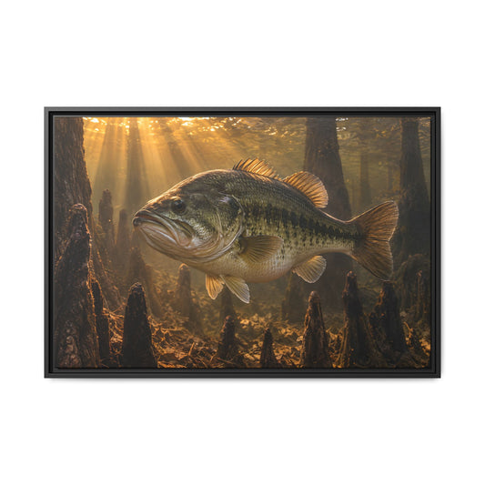 Sunrise Over the Cypress Knees Largemouth Bass framed canvas, 18x12 size view