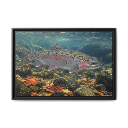 Autumn Rainbow Rainbow Trout framed canvas wall art, view 3