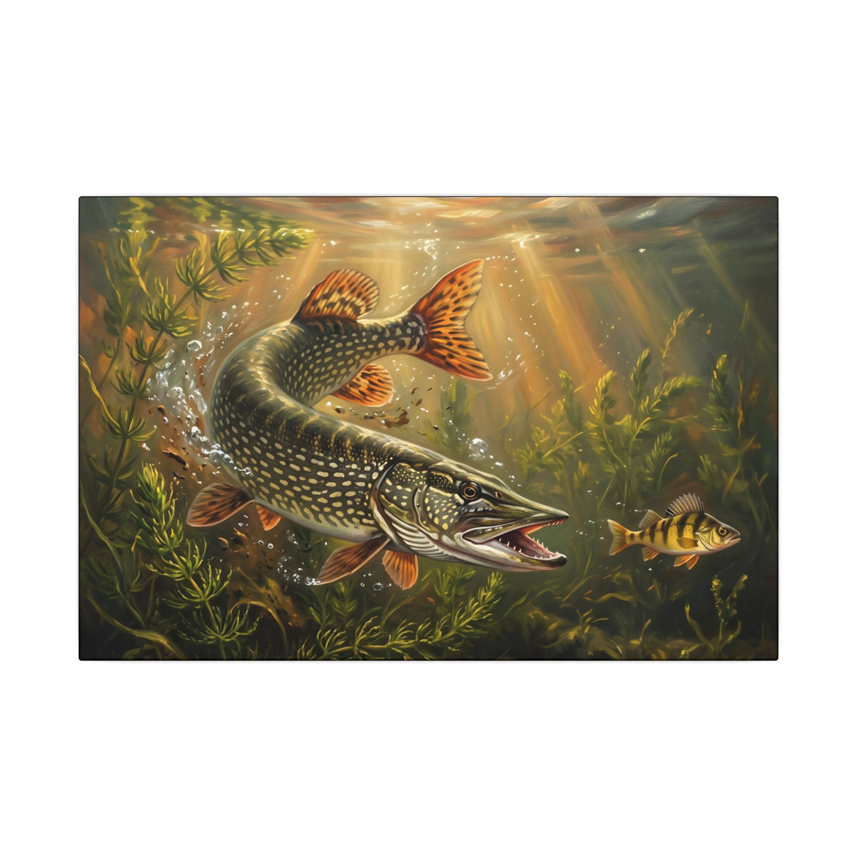 Perch Ambush Northern Pike canvas, 18x12 size view