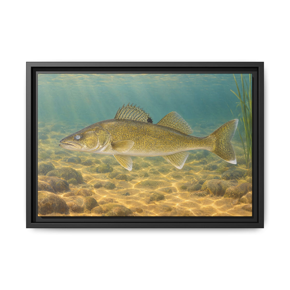 Sand Flats Walleye framed canvas wall art, view 2