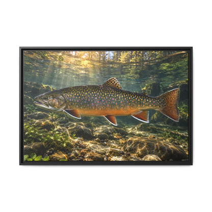 Northern Jewel Brook Trout framed canvas wall art
