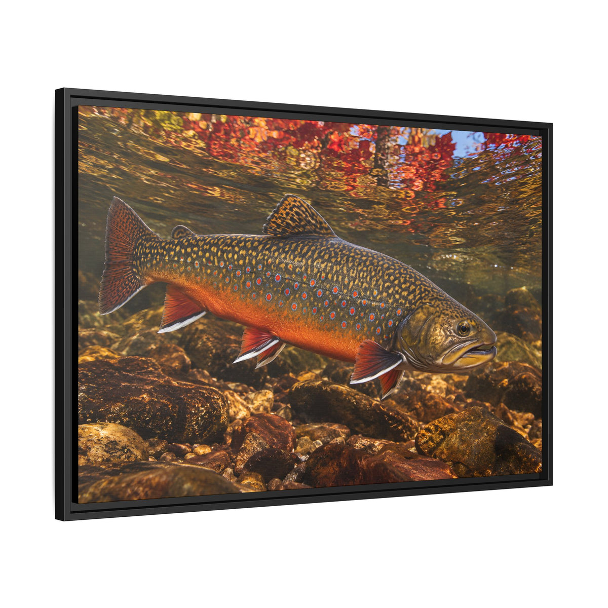 Crimson October Brook Trout framed canvas wall art, view 4