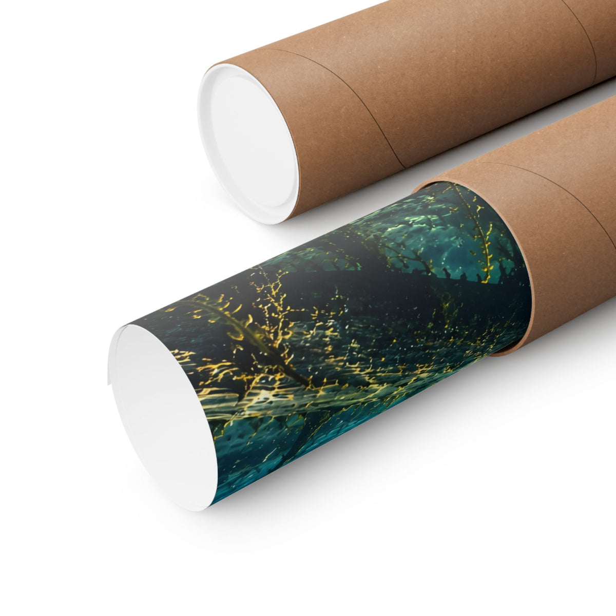 Winter Pike Beneath the Ice poster shipped rolled in a protective tube