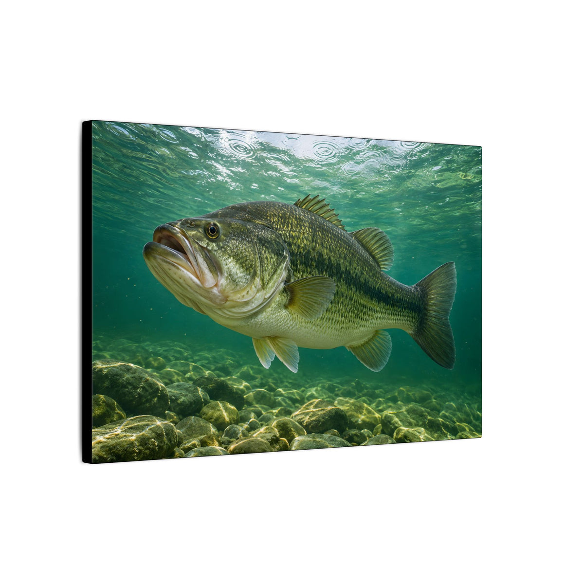 Emerald Rainlight Largemouth Bass canvas side angle