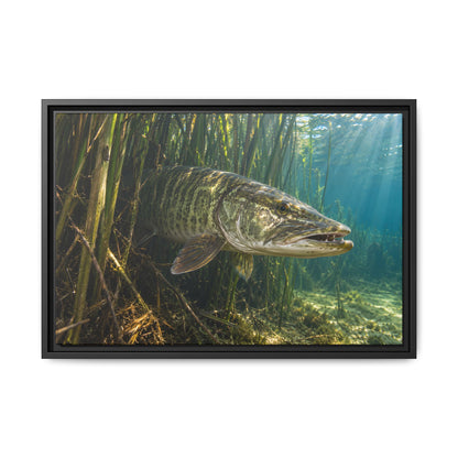 Reeds Mouth Open Muskie framed canvas, 36x24 size view