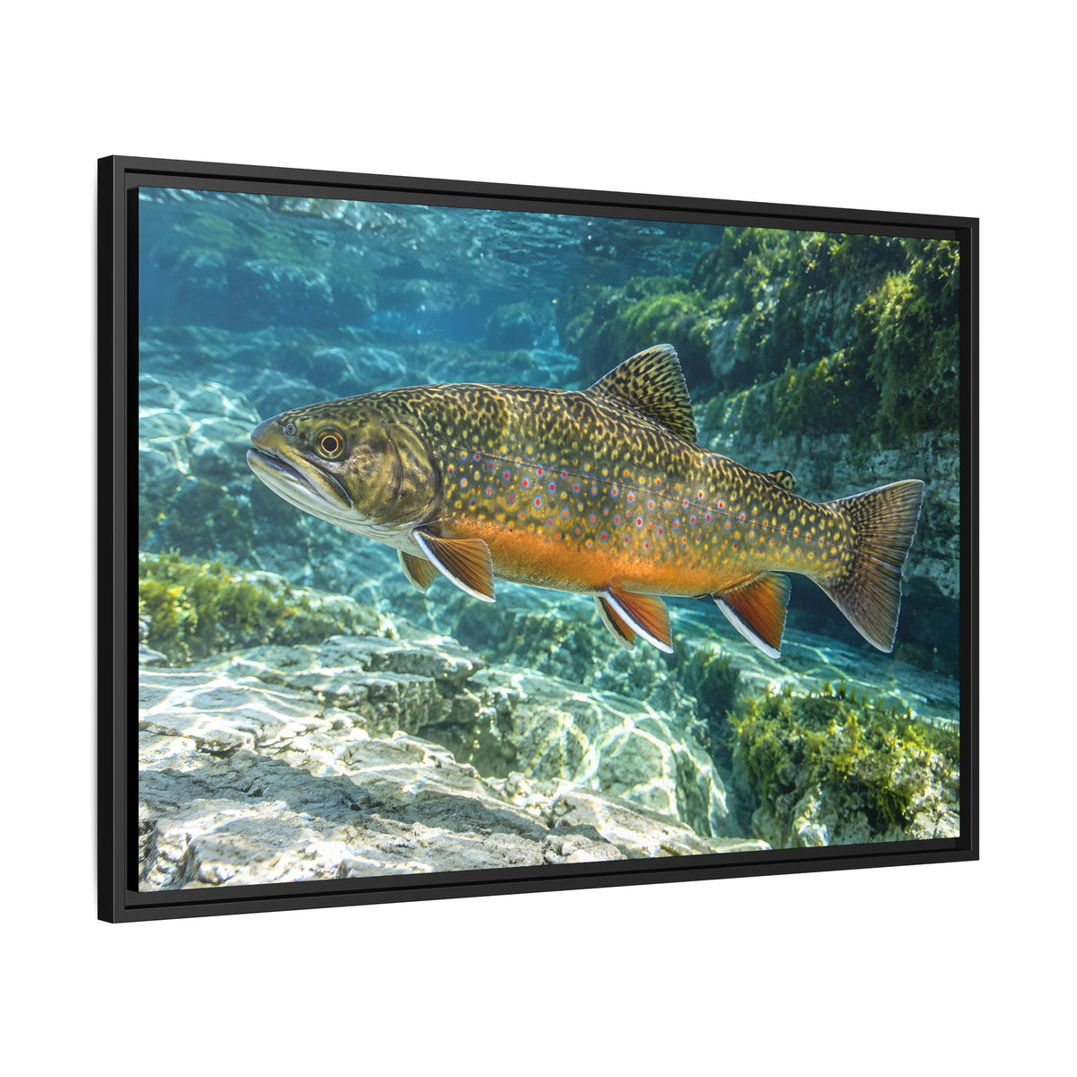 Sapphire Spring Brook Trout framed canvas wall art, view 4