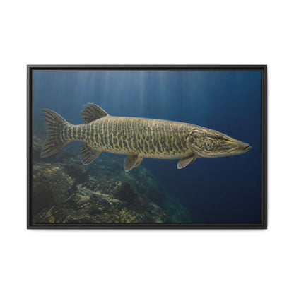 Blue Water Muskie Cruiser framed canvas, 18x12 size view