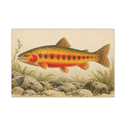 Vintage Stream Study Golden Trout canvas wall art, view 2