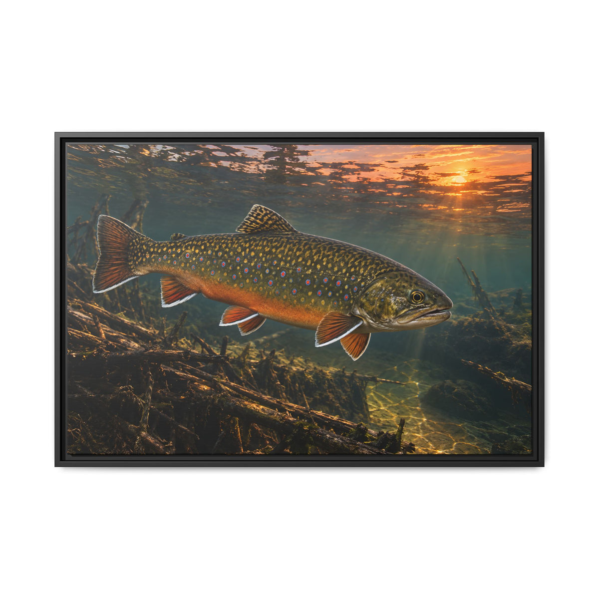 Sunset Beaver Dam Brook Trout framed canvas wall art