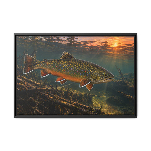 Sunset Beaver Dam Brook Trout framed canvas wall art