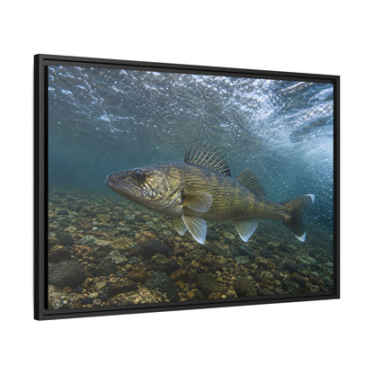 Cobbled Shallows Walleye framed canvas side angle