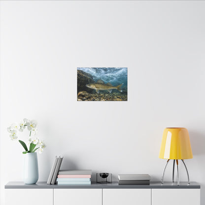 Tailwater Below the Dam Walleye canvas in a home office