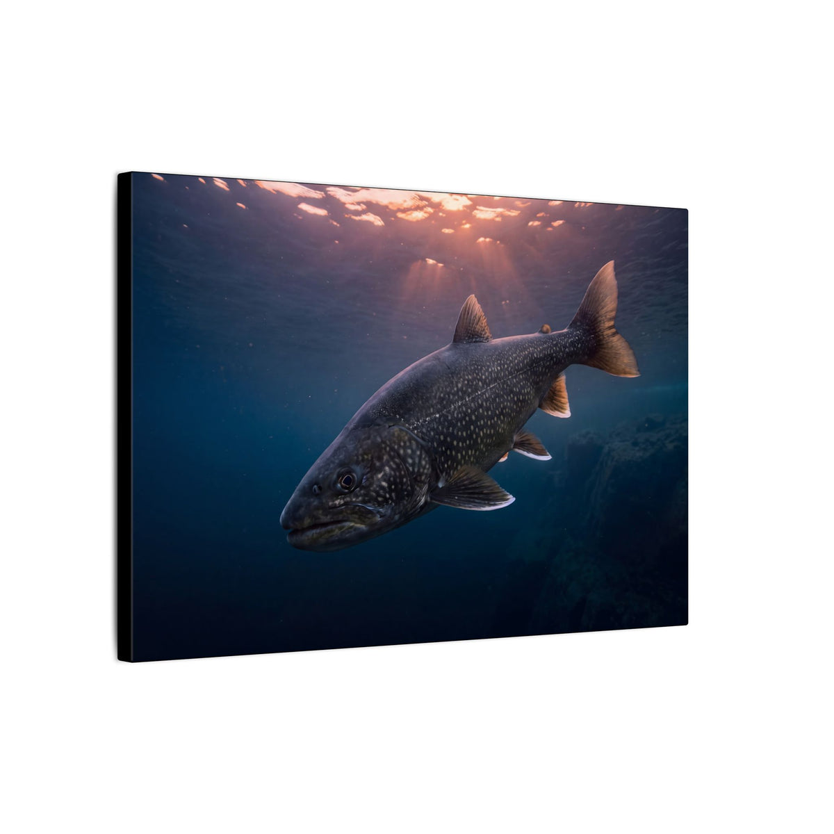 Twilight Rise Lake Trout canvas wall art, view 4