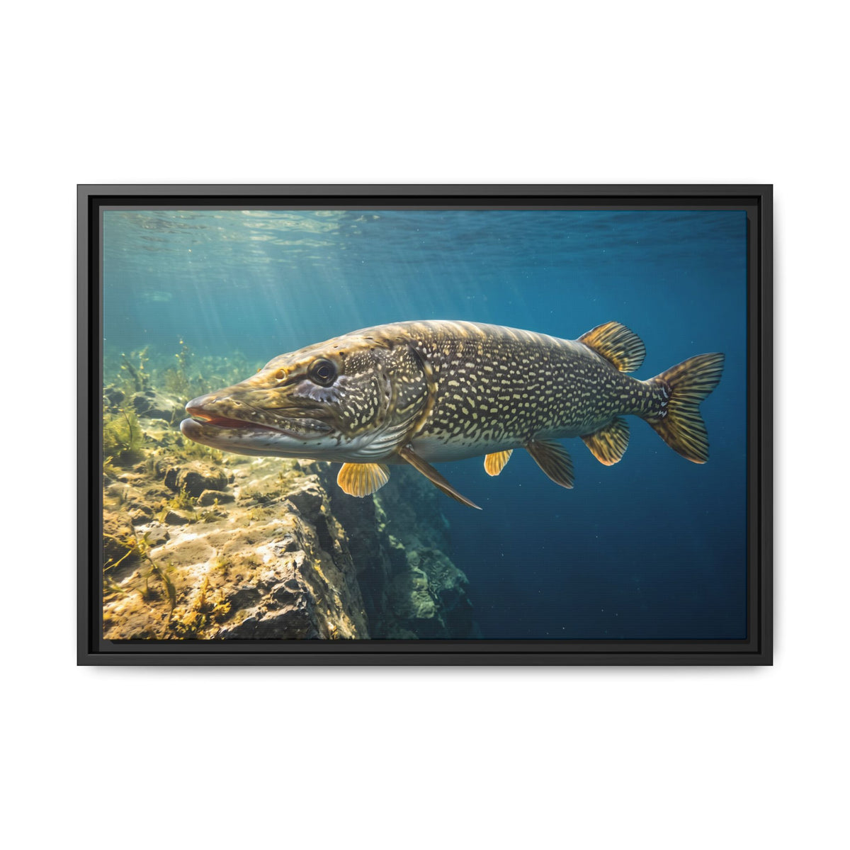 Northern Pike Deep Water Cruise Framed Canvas wall art, view 3