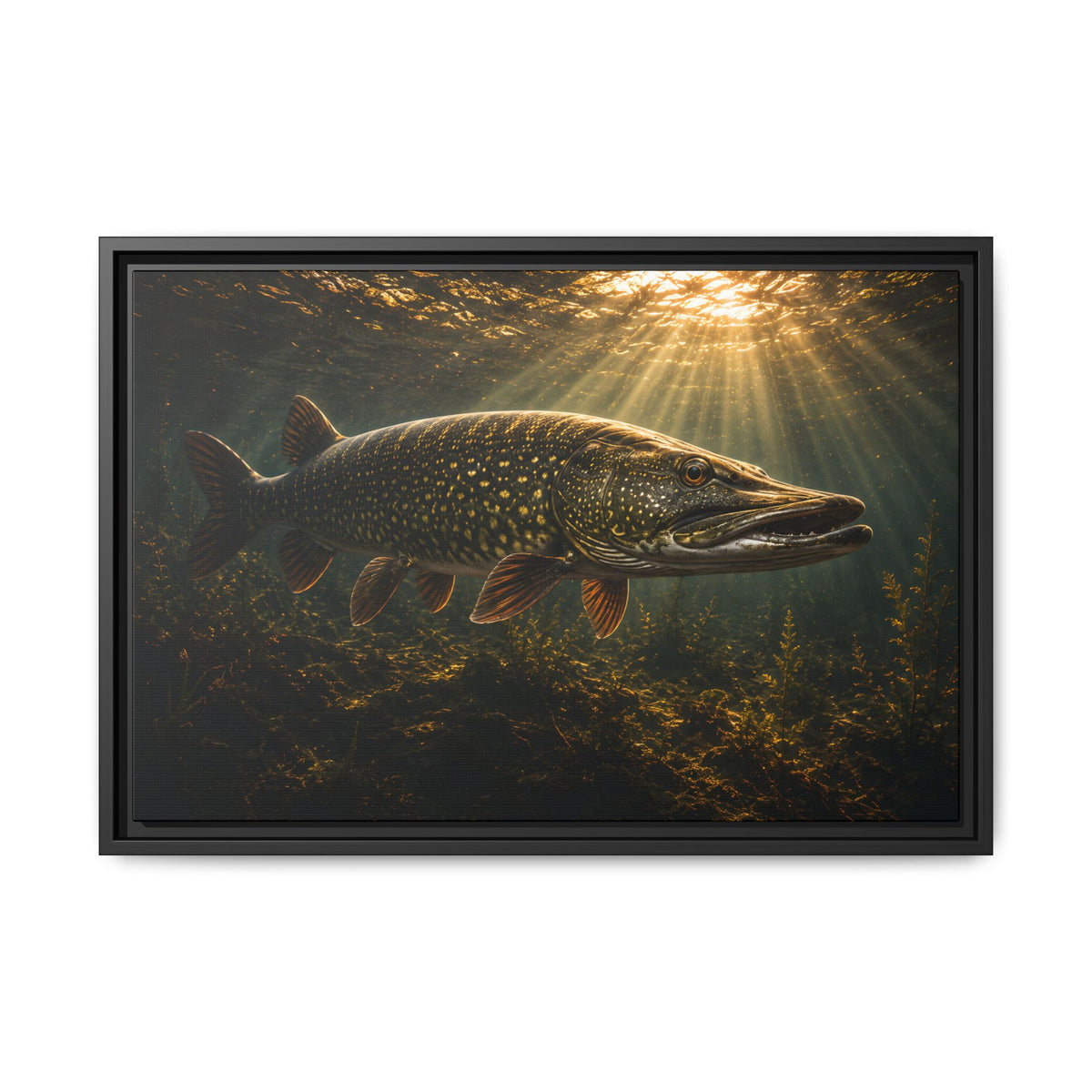 The Encounter Northern Pike framed canvas, 36x24 size view