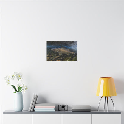 River Bend Walleye canvas in a home office