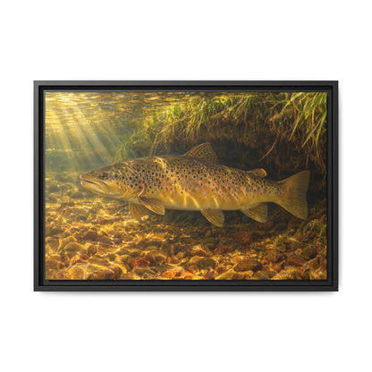 Golden Undercut Brown Trout framed canvas, 36x24 size view