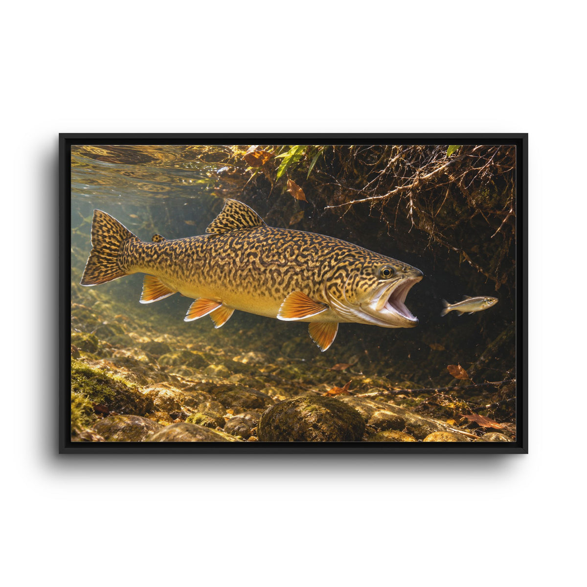 Grassy Bank Strike Tiger Trout framed canvas wall art, view 3