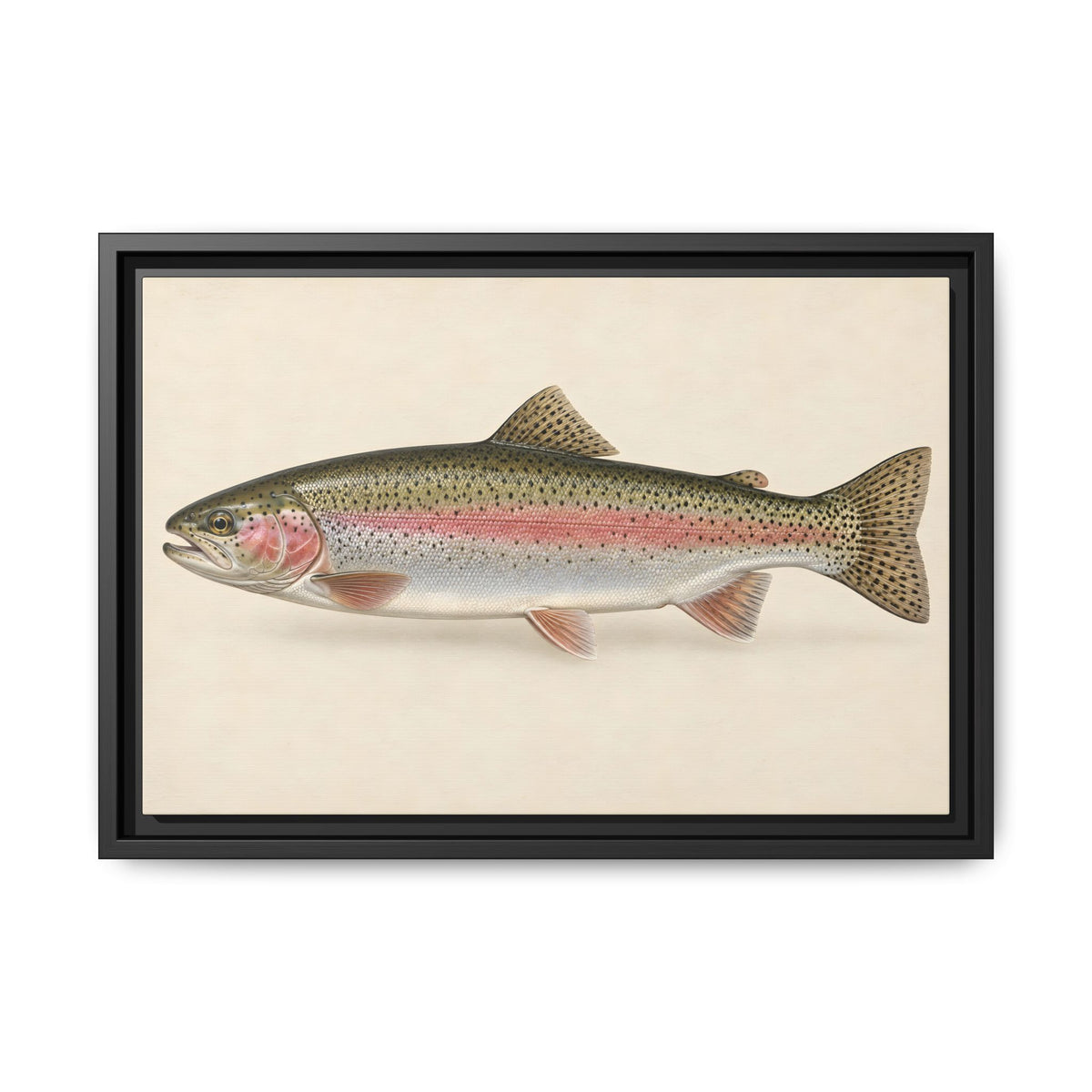 Rainbow Trout Field Study framed canvas wall art – photo 2