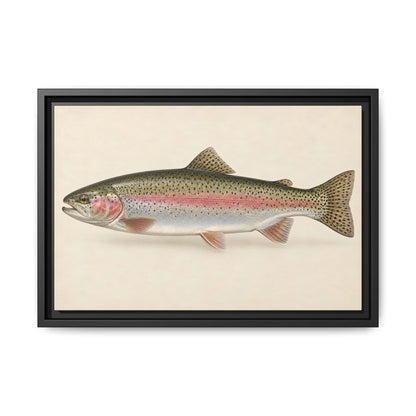 Rainbow Trout Field Study framed canvas wall art – photo 2