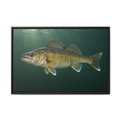 Big Water Trophy Walleye framed canvas, 18x12 size view