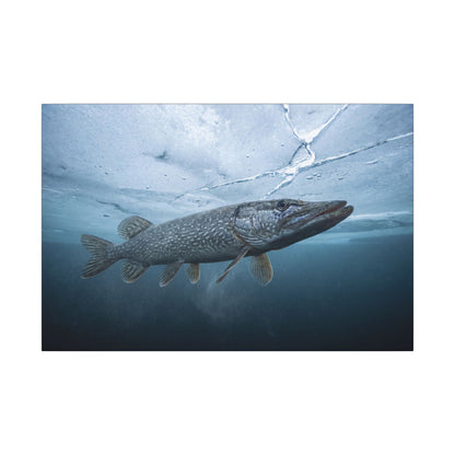 Ice-Out Strike Northern Pike canvas, 36x24 size view